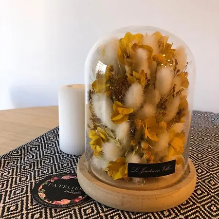 Apartment Pivoine